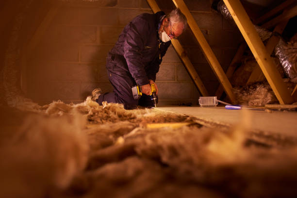 Best Residential Insulation in Piggott, AR