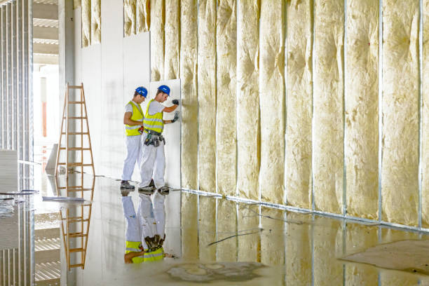 Geographic-Specific Insulation Services